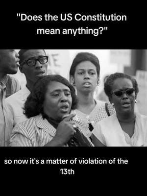 Violations of the United States constitution. #fannielouhamer #reposession 