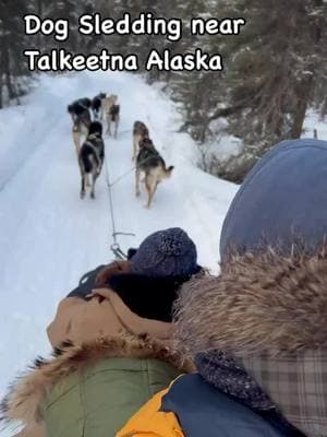 Views from this week 😍 Just some good dogs, beautiful trails, and a whole lot of fun. ❄️🐕 Despite the warm weather and rain last week, there’s still plenty of snow!  #dogsledding #alaska #mushing #visitalaska #talkeetna 