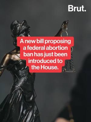 The Life at Conception Act, a new bill proposing a nationwide abortion ban, has just been introduced in the House of Representatives. #abortion #abortionban