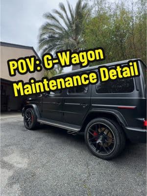 POV Maintenance Detail #detailing #cardetailing #mobiledetailing #cardetailingtips #povdetailing #mcguiresmobiledetailing