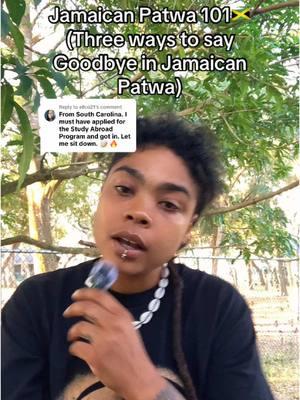 Replying to @ellco21 #greenscreen Three ways to say Goodbye in Jamaican Patwa 🇯🇲 #jamaican #jamaicanpatwa #jamaicanpatois #jamaicanlanguage #jamaica #jamaicanpatwa101 #hillman #hillmantok #hillmantokuniversity #thehillmantok #thehillmantokuniversity #hillmantoklanguage #jamaicanculture #jamaicanhistory #fyp #dabqween #ganjagod #onlyganjagod 