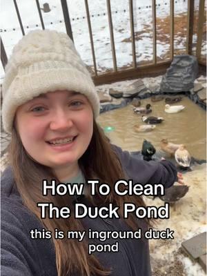 I do have a plan to make this simpler BUT I have to wait for the ground to thaw out in the spring. Then I’ll dig a deeper spot on one side so the sewage pump can get even more of the water out at once. I have to admit- cleaning my old pool was much easier than this! 🦆 #dunkinducks #ducks #petducks #callducks #farmanimals #farmlife #duckpond #BackyardDucks 