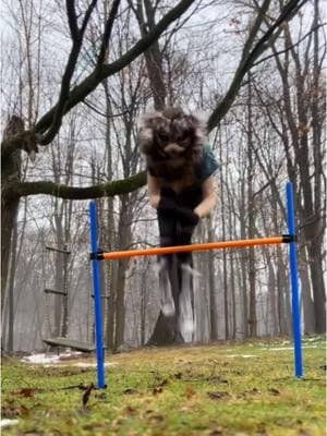 THE SNOW’S ALMOST GONE😭😭😭 #quadrobics #quadrobist #quadrobicsjump #kvd #jump #notatherian #theriansupporter #antizoo #iknowimnotananimal #winter #snow #nature #forest #meme #fyp #fypp #fypシ゚viral #viral #fypシ 