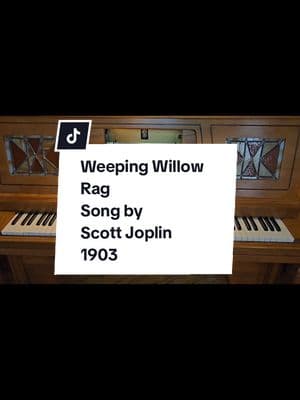 Weeping Willow is a 1903 classic piano ragtime composition by Scott Joplin. It was one of Joplin's simpler and less famous ragtime scores, written during a transitional period in his life, and one of the few pieces that Joplin cut as a piano roll in a 1916 session. #weepingwillow #scottjoplin  #ragtime #playerpiano #piano #fyp 