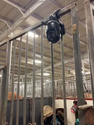 Barrel Racer must have!!!!  #securitycamera #barrelracer #nbhayouthworld #allamericanyouth #bbrworldfinals #vegastuffest #stallcamera 