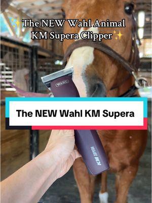 This one has skyrocketed 🚀 to my top fave clipper of all time. Literally obsessed. Use KRISTEN15 at wahlpro.com.  #wahlclippers #kmsupera #horsegrooming #horseclipping #horsegroomingtips #equinegroom #horselife #horsepeople #horsetok #fyp #equestriantiktok 