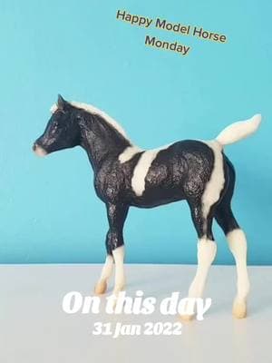 #breyer #breyerhorses #toycollectors ##horsegirl #horsegirlvibes  #onthisday 