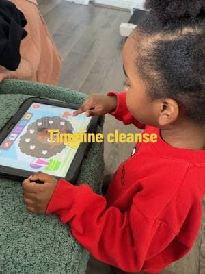 Protect @PBS Kids! #pbskids #timelinecleanse #pbs #toddlermom 