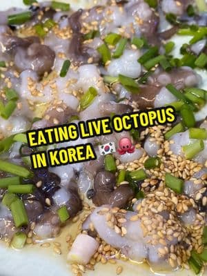 the way they move 😭😭 #liveoctopus #octopus #sannakji #korea 