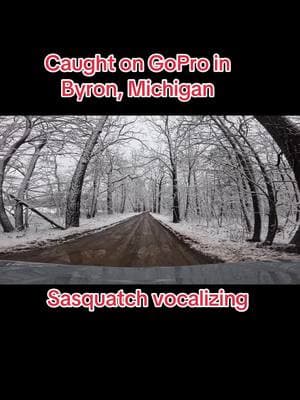 Sasquatch caught on GoPro vocalizing #👍 #tiktoktrendingvideo #2025trending #bigfootstories #look #TikTokstory #Bigfoot #Sasquatch #Cryptidstories #ticktokfinds #paranormal#Cryptid#Sasquatch trending#Bigfoot trending#mythical creatures