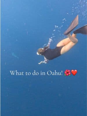 Just some of the activities we did in Oahu! Stay till the end to see whales breaching :) 🐋🐳#hawaiivlog #oahuvlog #travelinspo 