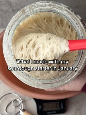 Wait for it… 😂 all jokes aside, I had a great baking month in January!  My sourdough starter “Breadleigh” was busy! In addition to this, she made 250+ packets of dehydrated starter that were all shipped out!   Thank you all so much for supporting my content and business this month! I appreciate every single one of you!  I’d love to know, what was your favorite thing you baked this month? 🍞  #s#sourdoughs#sourdoughtipss#sourdoughstarter#a#activestarters#sourdoughscorings#sourdoughbakers#sourdoughtutorials#sourdoughtipsandtrickss#sourdoughbreads#sourdoughhowtob#beginnersourdoughs#sourdoughbeginners#sourdoughforbeginnerss#sourdoughbakinga#allaboutsourdoughf#foodietokb#breadmakingf#foodtiktokd#doughrecipeb#bakingtipsh#homemadebreadb#breadrecipes#sourdoughrecipeb#breadbakingM#MakingBreadAtHomea#artisanbreadBreadmakingForBeginners