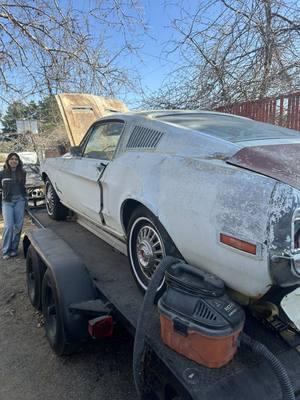 I named her My Georgia Bullet! 💖 Follow me for more Mustang Adventures! #mustang #americanmuscle #classiccars #cargirl #cartok #carsoftiktok #bullet #shelbygt500 #gt #fastbackmustang #classiccar #cargirls #girlmechanic #fastandfurious #paulwalker #ford #fordmustang #fyp #fypシ #girltok #cars #carolshelby #kenmiles #mustanglifestyle #mustangsoftiktok 