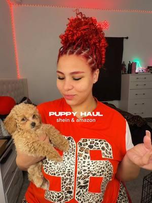 she is going to be a spoiled baby🥹 Part two coming! IG MIIABRI YT MIA BRI  #puppyhaul #sheinhaul #amazonhaul #toypoodle #puppyessentials 