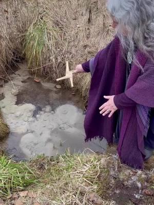 #Imbolg Healing Blessings from #Brigid Spring in Wisconsin USA. #Imbolc Well Wishes.  #Witchtok #DruidTok #Pagantok #Brighid #BrigidGoddess