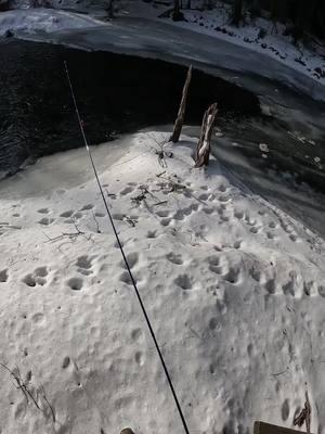 Technique on how to fish a creek with ice on it. There will always be unfrozen spots where riffles are. The food source will drift under the ice where the apex of the ice is. Which is the point of the ice. Trout will hold under there for protection and pick food off. I don’t catch trout, so use this video for learning how to read a creek. #flyfishing #fishing #flyfisher #fishingtrout #fisherman #fishermen #fishinglife 