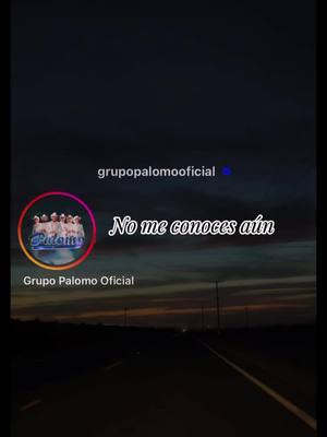 #nomeconocesaun #palomo #grupopalomooficial #rolitasparadedicar #rolitaschidasツ #letrasdecanciones #dedicala #viral #paratiiiiiiiiiiiiiiiiiiiiiiiiiiiiiii 