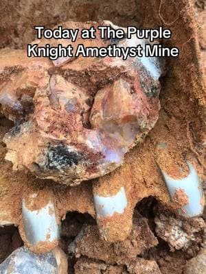 #rockhound #rockhounding #amethyst #amethystcrystals #ncrockhounds #rockhoundsoftictok #rocktok #rocksoftiktok #bencampbell #crystalhealing #geology #crystaltok🔮 #crystaltok #fyp #rockhounds #crystaltok #georgia #purpleknightamethystmine 