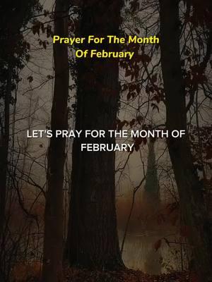 Prayer for the month of February 2025 #prayer #prayerforyou #jesus #god #lord #amen #gratitude 