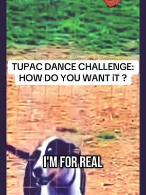 Tupac dance challenge: Hiw do you want it ? #Tupac #DanceChallenge #HowDoYouWantIt #HipHop #fyf #90sMusic #DanceVibes #foryou  #TupacShakur #MusicLegends #fyp #DanceCommunity #ThrowbackHits #RapCulture #ChallengeAccepted #dancewithme #LegendaryArtist #FeelTheBeat #2pacdancechallenge #tupacdancechallenge #goviral #tiktokdancechallenge #viral #rosealee #jaydenn #blamdem #nickiminaj #fabbi #vybzkartel 