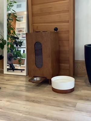 Modern dog feeder. Houndsy.com #midcenturymodern #interiordesign #dogfeeder #dogsoftiktok 