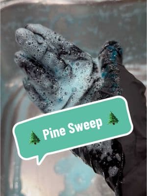 #pinesweep #gelcleanser #CleanTok #pinesweepallpurposecleaner #sudsycleaning #pinecleaner #lovelanguage #seasonalgems 