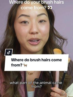 Did you know this little fun fact…? 👀  As a reminder, animals aren’t killed for your makeup brushes. Usually it’s byproduct of something else (or not killed at all).  What other questions do you have about brushes? 🖌️ Also apologies my camera white balance was having a field day and it is driving me nuts 🥲  #brushes #cosmeticchemist #productdevelopment #makeup #skincare 