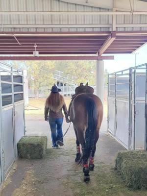 This... She goes above and beyond every ride... every single ride... Convinced ill never find another one this good... ❤️ #lovethislife #blessed #shedeservesitall #foryoupage #barrelracerland #pnwonderland #horses #oregon #foryoupageofficiall #trends #horse  #buckskin #pychorses #horsetok #trendsetter #lovethelifeyoulive 