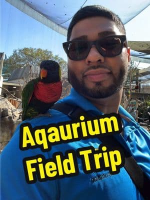 Aquarium of the Pacific Field Trip #schoolbusdriver #pov #Vlog #dayinmylife #dayinthelife #asmr 