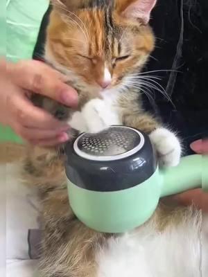 I use this lint shaver before go out everyday,my clothes look brand new 😃#kitty #lintshaver #fabricshaver #lintremover #sweater #fuzz #clothes #usefullifetips #TikTokShop #tiktokmademebuyit 