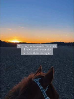 ..greiving has seemed to be a personality of mine🖤🥺 #fyp #fypage #fy #redmare #trailride #traumahealing #processing #truama #openfeild #sunset #greif #greiving #stillgreiving #quietmind #bestillmyheart #heartbreak #hearthorse #hearthorseloss #missyoueveryday #mhm #personalitycheck #thistooshallpass #keepmovingforward 