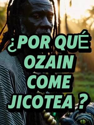 Pataki de la dejadez de la Jicotea y el porqué Ozain la convirtió en su sacrificio predilecto. #ozain #osain #pataki #ayakua #robertobaoriate #osha #oba #oriate #cubanbotanicastore 