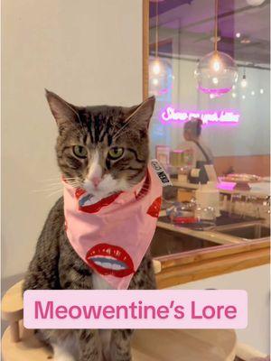 We’d be happy to explain it further if you want 🤷‍♀️ #nekocatcafe #meowentines #catcafe #bellingham #seattle #seattlewa #bellinghamwa #cats #catsoftikok #meow 