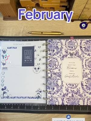 Watch as I flip through my February setup—let’s make this month productive and fun! February is all set in my Happy Planner! My Currently page, Month-at-a-Glance, and Weekly pages with an hourly layout are ready to keep me organized and on track. 🗓️💖 🎉  Please remember to follow and let me know in the comments if you think the last two weeks are identical 😃 Link in bio 🔗 #HappyPlanner #PlannerSetup #FebruaryReady #PlanWithMe #planhacks #plannercommunity #februaryinspiration #plannerinspiration #LinkInBio #planwithplanhacks #amazonaffiliate #beforethepen #itsamooditsavibe #februaryataglance #plannerweekly #hourlylayout #currentlypage 