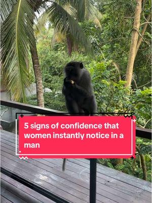 And it’s not the D 😂 👉🏼 be sure to follow @mkmatchmaking for more NO BS dating & relationship tips ❤️ Confidence isn’t about arrogance—it’s about presence, self-assurance, and knowing your worth. Women can spot it instantly. Here are five key signs that show you’re the kind of man who carries himself with confidence: 1️⃣ Strong Eye Contact – You’re not afraid to look her in the eyes when you speak, showing you’re present and engaged. A confident man isn’t looking around for an escape—he’s comfortable in the moment. 2️⃣ Relaxed Body Language – No fidgeting, no slouching. You stand tall, shoulders back, and move with intention. Confidence is quiet; it doesn’t seek approval. 3️⃣ Decisiveness – You know what you want and don’t hesitate. Whether it’s choosing a restaurant or making a life decision, a confident man takes action. 4️⃣ Emotional Composure – You don’t get easily rattled. You stay cool under pressure, handle challenges with ease, and never let small setbacks shake you. 5️⃣ Authenticity – You don’t try to impress; you just are. You own your quirks, opinions, and flaws without needing validation. A confident man doesn’t chase approval—he attracts it by being himself. Confidence isn’t something you fake; it’s something you build. Which of these do you think is the most attractive?  #Confidence #MasculineEnergy #DatingTips #SelfAssurance #selfawareness #singlemen #singlelifeproblems #singlelife #relationshipgoals #datingadviceformen #datingtipsformen