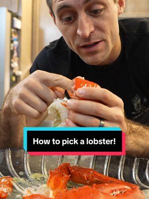 Did you know this trick for picking out lobster tails? #maine #lobster #seafood #cook #DidYouKnow #interesting #educate #learn 