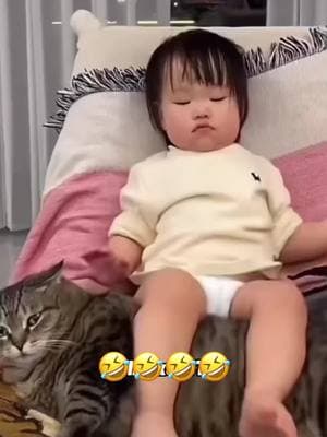 🤣🤣#dog #cat #pet #animal #voiceover #funny #funnyvideos #foryou #viral 