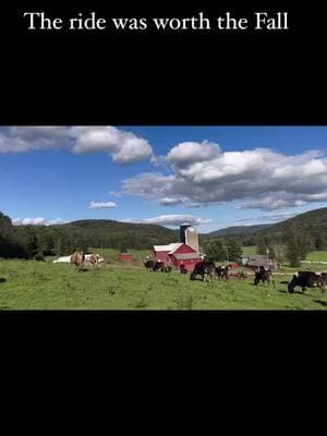 As Brovettos Dairy and Cheese House says: "Good days, bad days; Cody Johnson describes how we feel about farming. Putting your all into something that means everything to you" Video credit: harpersfield.cheese/IG #NewYork #Dairy #FarmerAppreciation #DairyFarmers