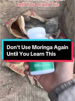 Transform Your Health with Moringa Leaves! 🌱👍🏻 What Happens When You Eat Moringa Leaves Every Day? #MoringaMagic #DailyMoringa #HealthTransformation #SuperfoodSecrets #NaturalHealing #HealthyLiving #MoringaBenefits #WellnessJourney #ViralHealthTips 