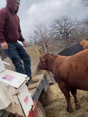 #onthisday #fyp #ranchin #feedtruck 