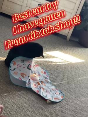 OMG!! Best cat toy everrrrrrr!!! @Potaroma LLC #cats #catsoftiktok #tiktokshoploveatfirstfind #tiktokshopfinds #titokshop #catsplaying 