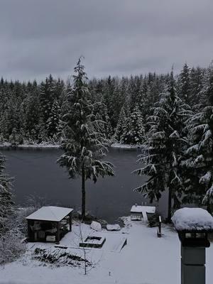 Good morning!  Happy 1st day of February from Snohomish, WA. ❤️ #firstsnow #Snohomish #pnw #wa  #tranquil #snow #lake #peaceful #morning #meditation 