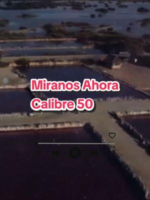 Miranos Ahora - Calibre 50 #calibre50 #calibre #miranosahora #parati 