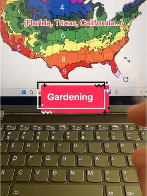 New to gardening? Start strong with this seed bank, featuring 32 different veggie varities perfect for your planting zone. Curious about other planting zones? Hit the shopping cart to explore more options! #beginnergardener #gardeningbeginner #planting #plantingseeds #seedbox #seedbank #growyourownfood #gardentok #lushanddew 