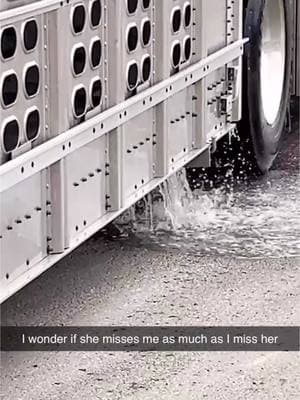 Sorry bro, had to borrow your woman #pov #peterbilt389 #snapchat #wheresthehusband #fy #fyp #wet #gusher #mitchell 