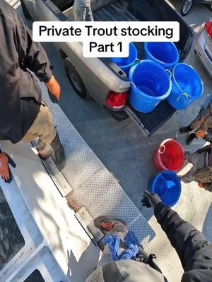 In order to transport the trout to the creek, you need to transfer the cold water they traveled in, into buckets. #troutstocking #flyfishdelawhere #trout #fishstocking #flyfisher #troutfishing #troutfish #fishing #rainbowtrout #brooktrout #browntrout #tigertrout 