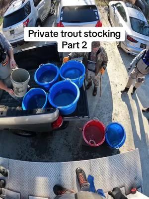 After the containers are full of water, you start to transfer the trout out of the truck. You try to do this as quick as possible so you can then transfer the container to the creek. #troutstocking #flyfishdelawhere #trout #fishstocking #flyfisher #troutfishing #troutfish #fishing #rainbowtrout #brooktrout #browntrout #tigertrout 