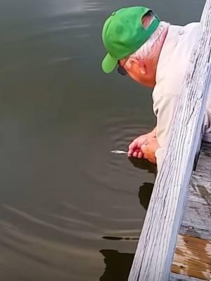 Catching fish by hand. #follow #me #formore #coolstuff #ifyourecool #doit #hitlike #fatheristheone #animals #nature #fish 