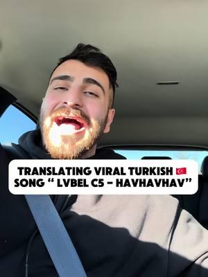 This song is hilarious  #turkishmusic #turkishsong #lvbelc5 #kesfet #turkish 