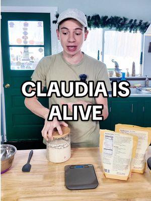 Replying to @Char Steele yayyy we’re making gluten free focaccia today but first we must feed Claudia #focaccia #glutenfree #sourdoughstarter #glutenfreesourdoughstarter #gfrecipes #feedingsourdough #homebaking #howtomakesourdough 